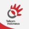BUMN PT. TELKOM INDONESIA (persero), tbk